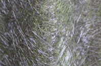 Sharnford fibreglass roof work